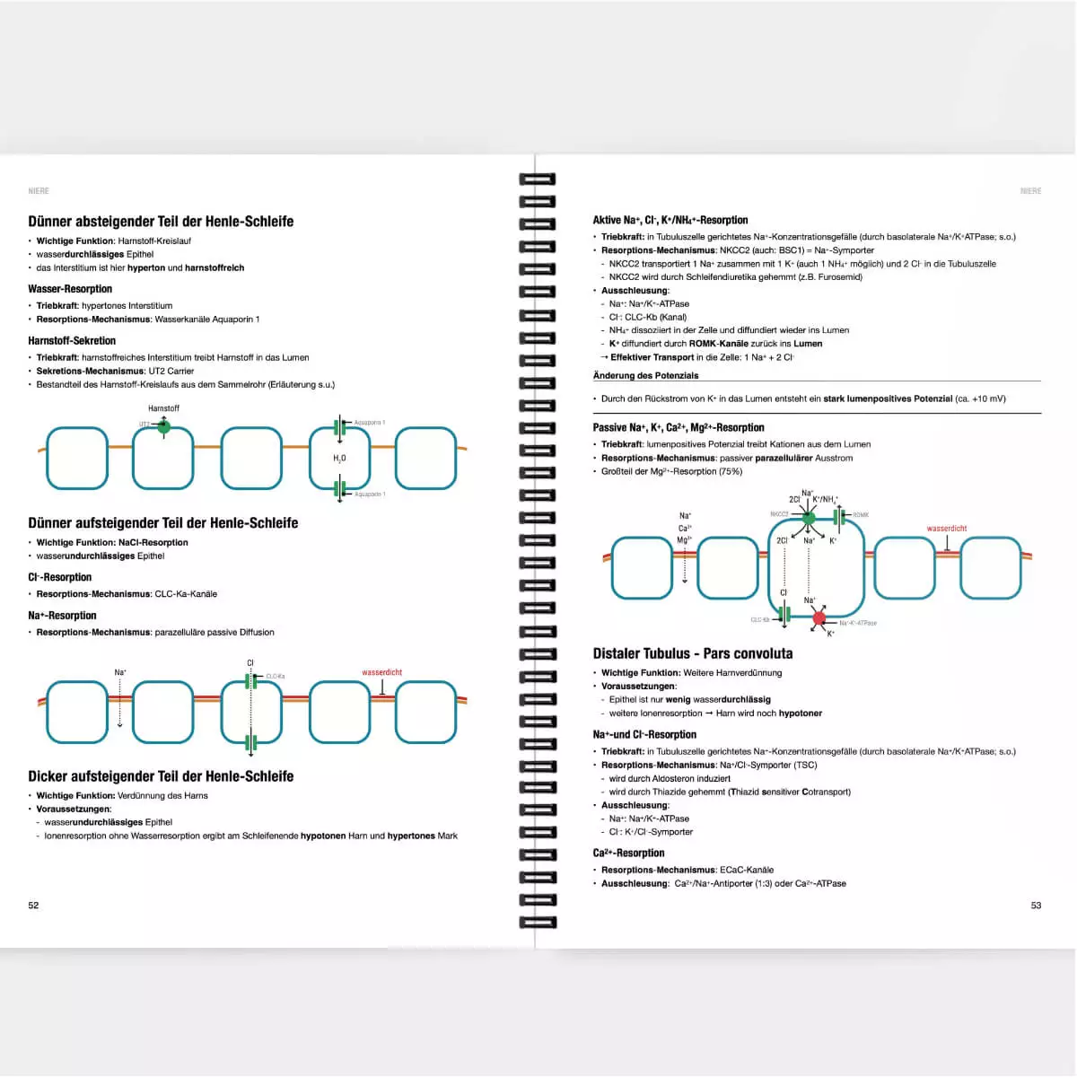 CORETEXT. Physiologie Lernskript
