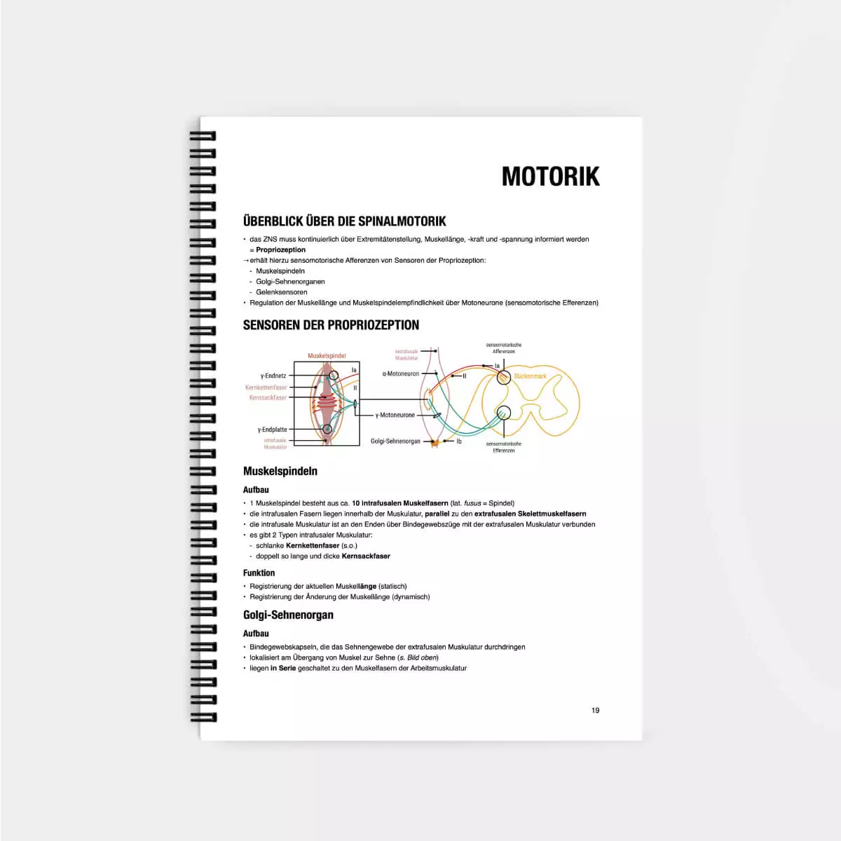 CORETEXT. Physiologie Lernskript