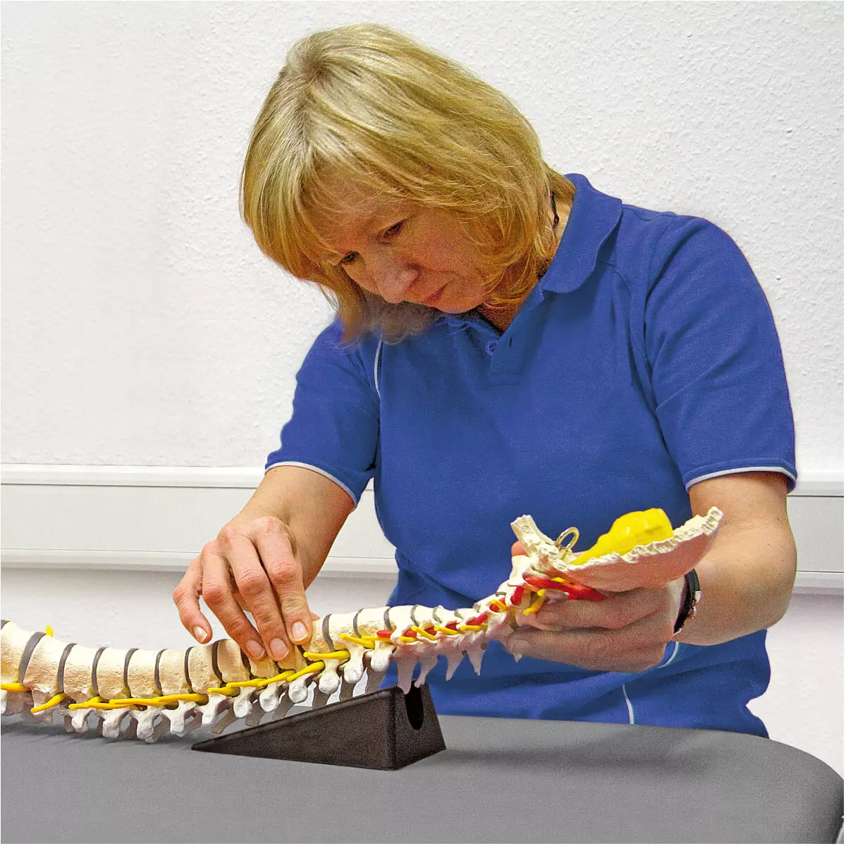 Sport-Tec Mobilisationskeil klein