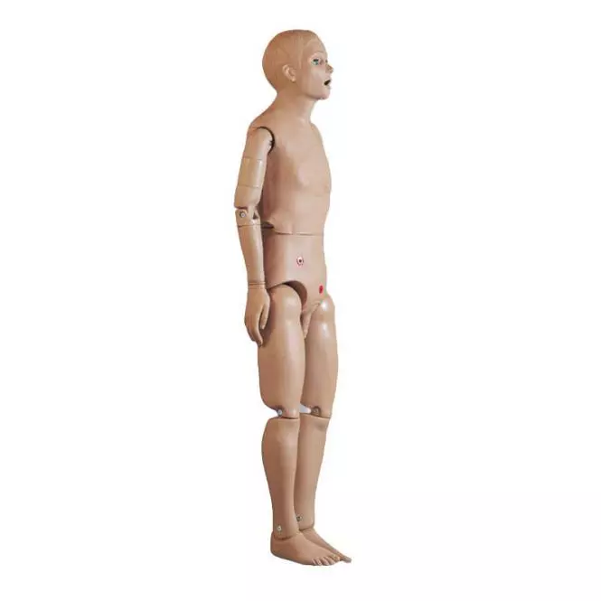 3B Scientific Krankenpflegepuppe Basis männlich