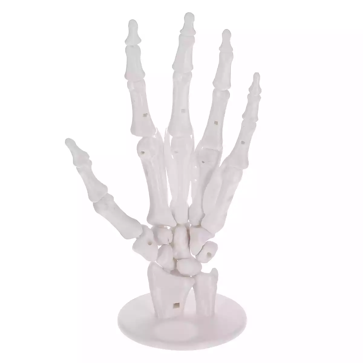 DocCheck Thïngs Anatomisches 3D-Puzzle der Hand "Manus"
