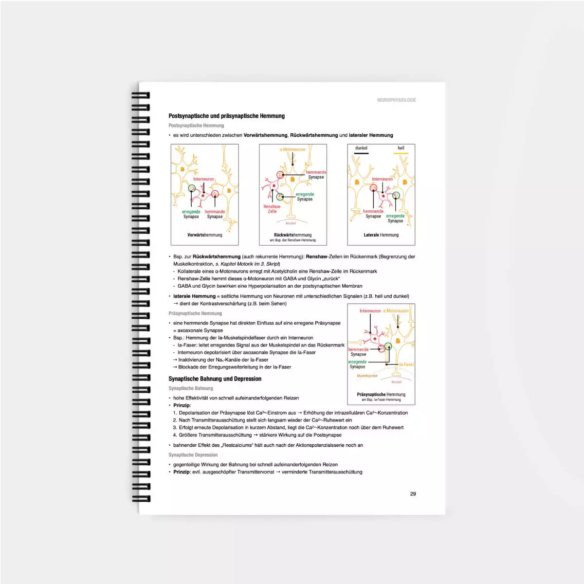 CORETEXT. Physiologie Lernskript