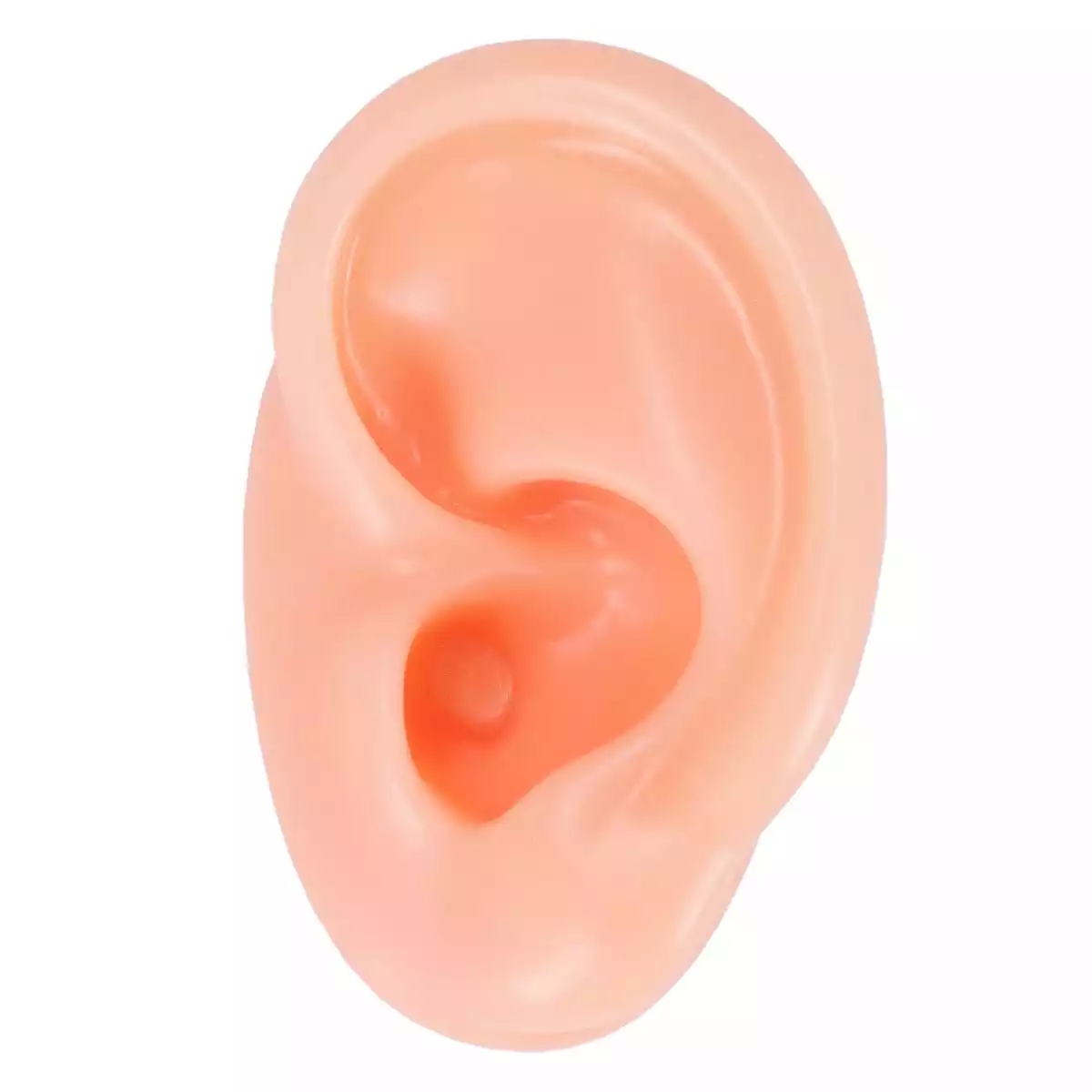 Dr. No Akupunkturübungsohr Dr. No Akupunkturübungsohr