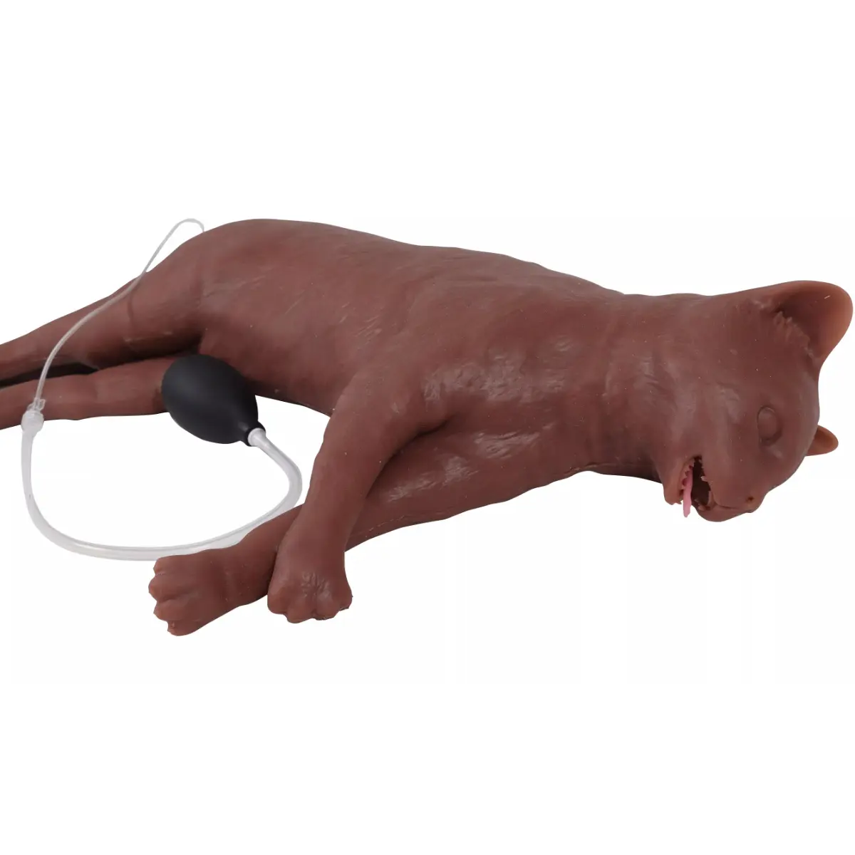 Erler-Zimmer HLW-Übungspuppe Katze "CaPpeR" 
