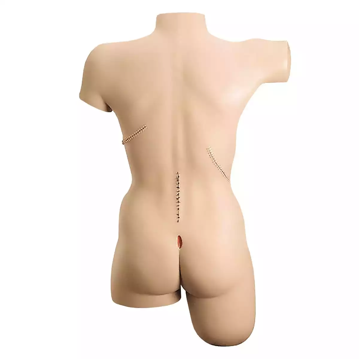 Erler-Zimmer Verband-Simulator