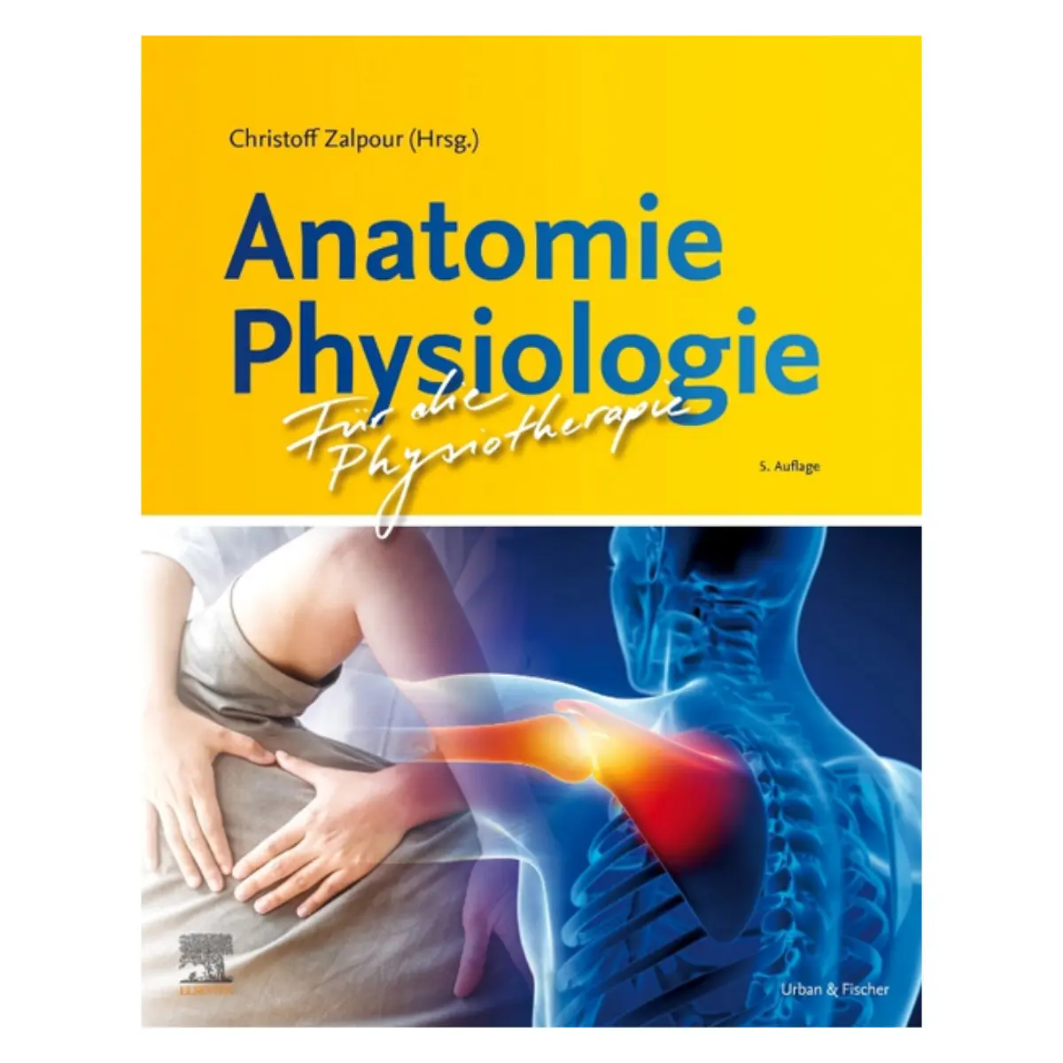 Elsevier Anatomie Physiologie für die Physiotherapie