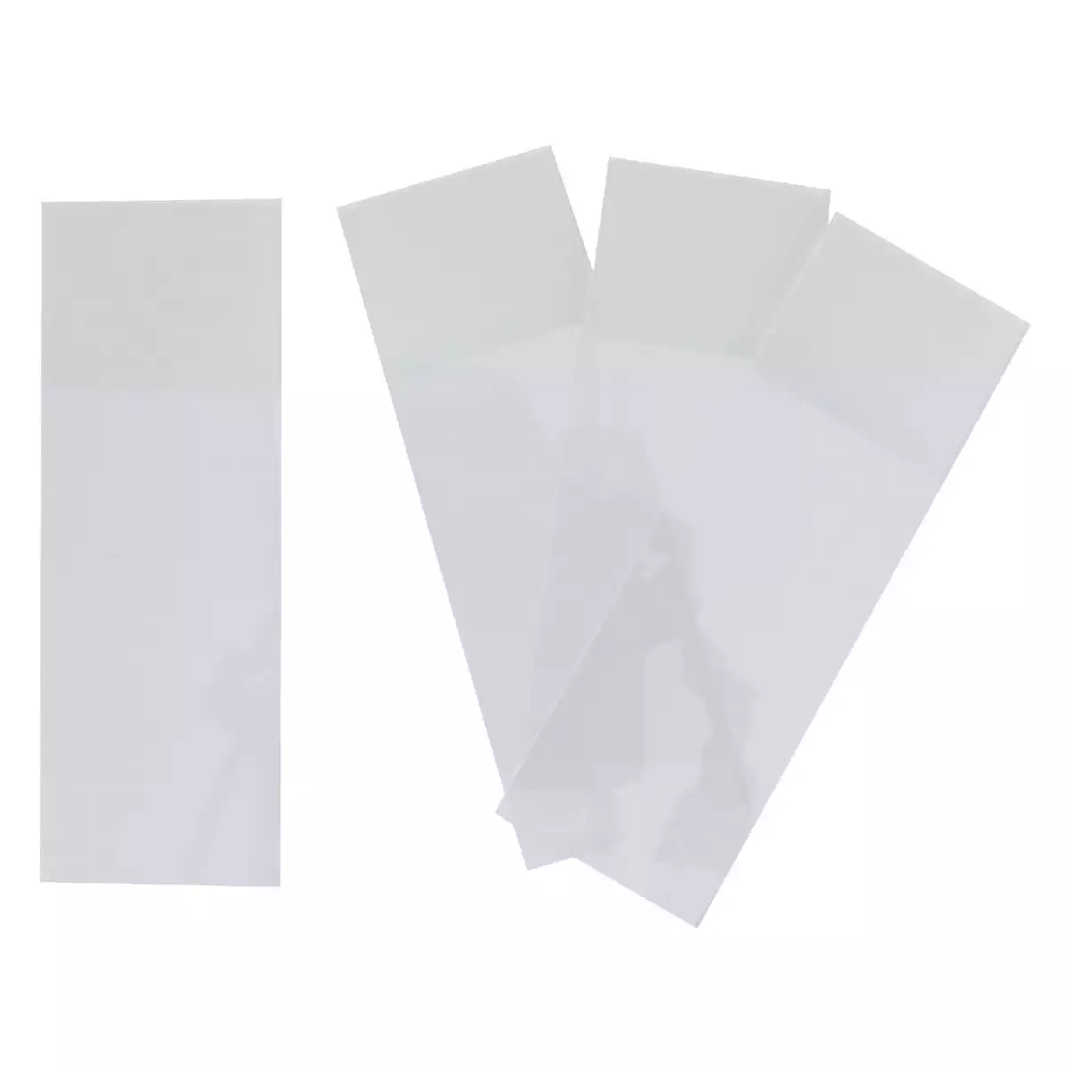 Hecht Assistent Objektträger mit & ohne Beschriftungsfeld