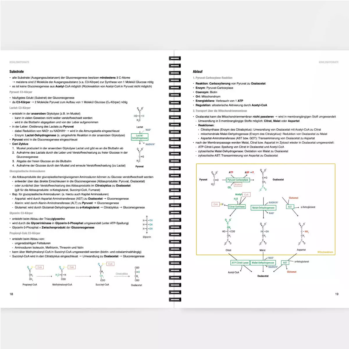 CORETEXT. Biochemie Lernskript