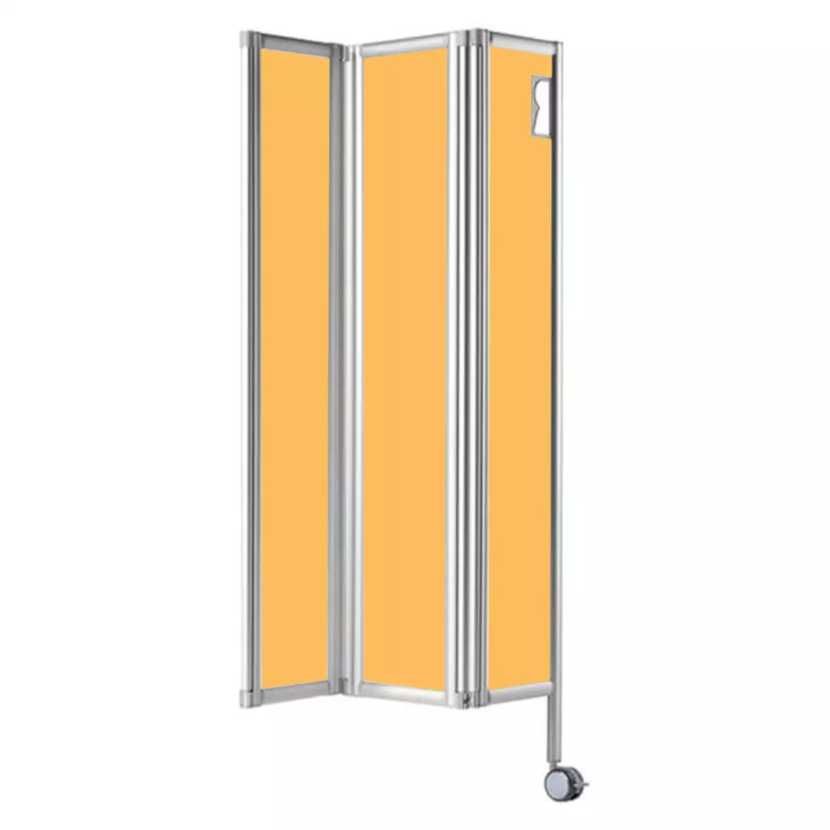 ropimex RFW Faltwand