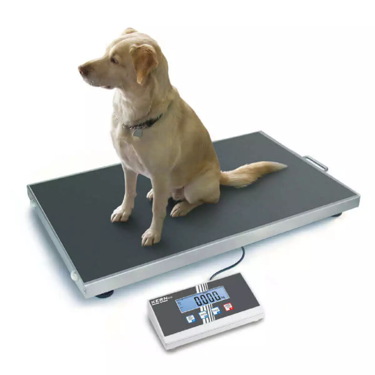 KERN EOS Veterinärwaage