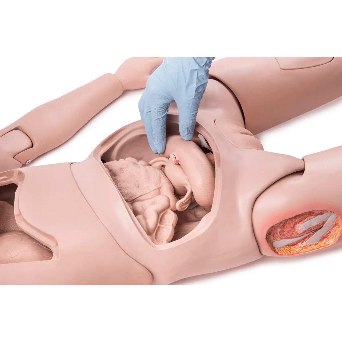 3B Scientific Krankenpflegepuppe PRO
