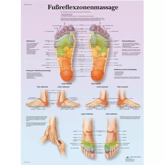 3B Scientific Lehrtafel – Fußreflexzonenmassage
