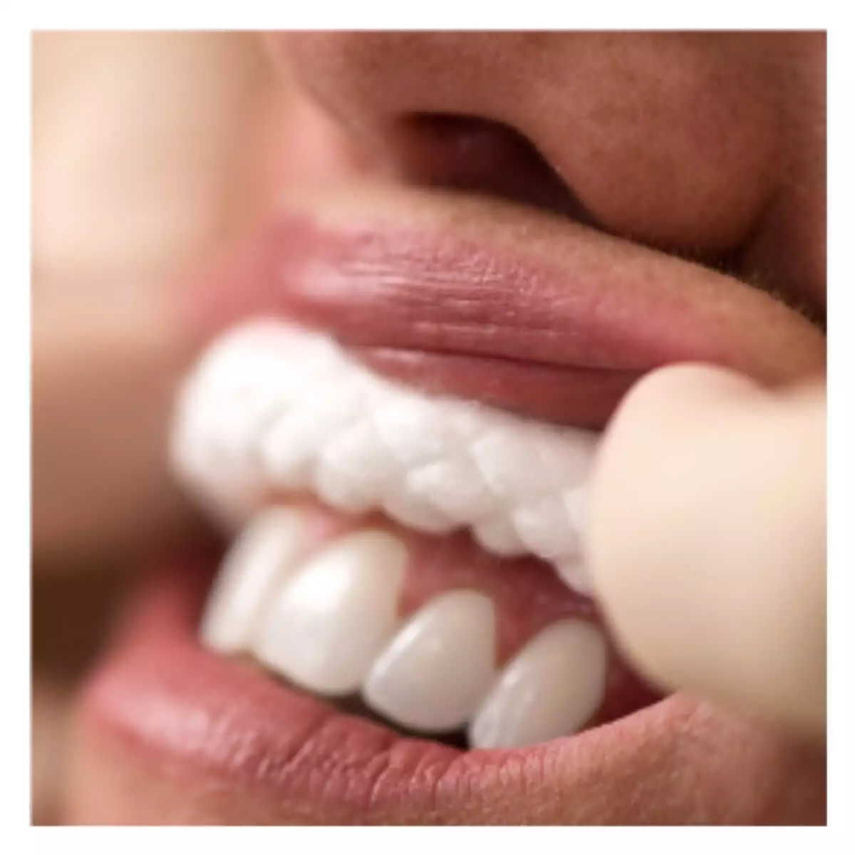 Richmond Braided Cotton Rolls