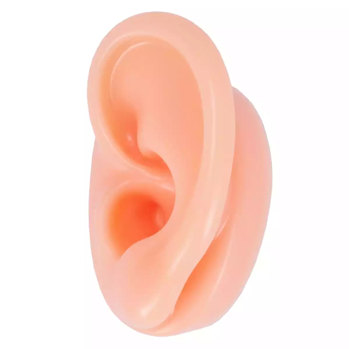 Dr. No Akupunkturübungsohr Dr. No Akupunkturübungsohr