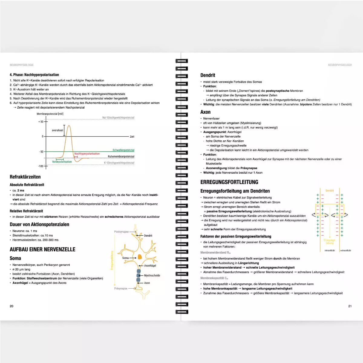 CORETEXT. Physiologie Lernskript