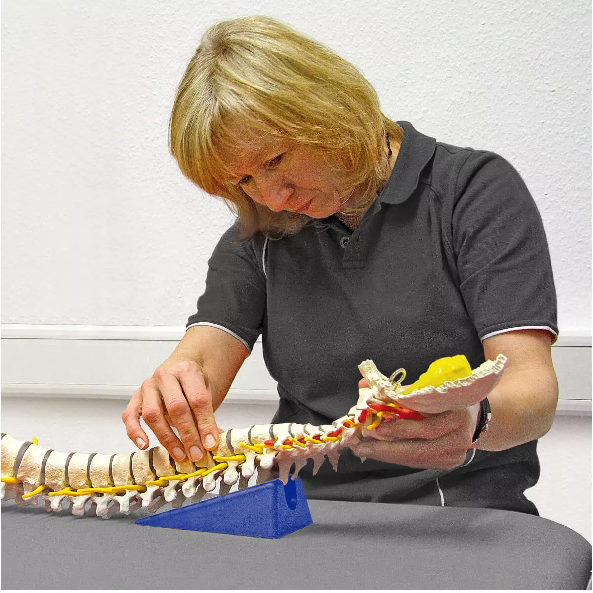 Sport-Tec Mobilisationskeil klein