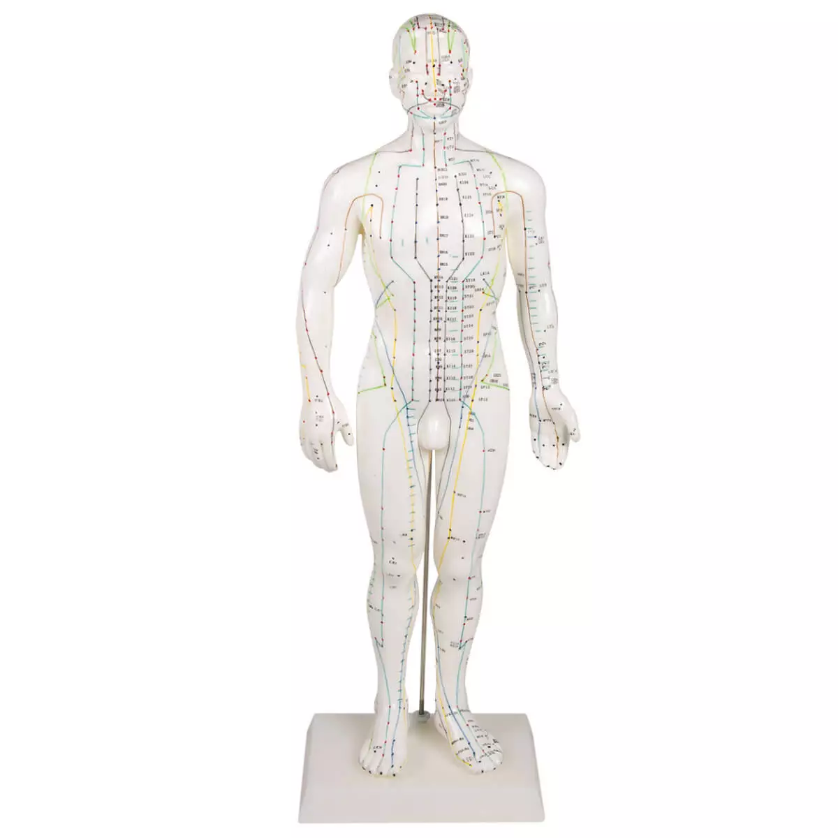 Erler-Zimmer Akupunkturfigur