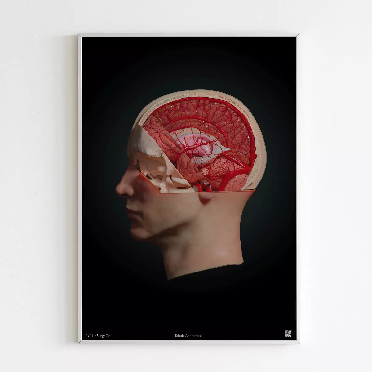 UpSurgeOn AnatomyARt Tabula Anatomica I