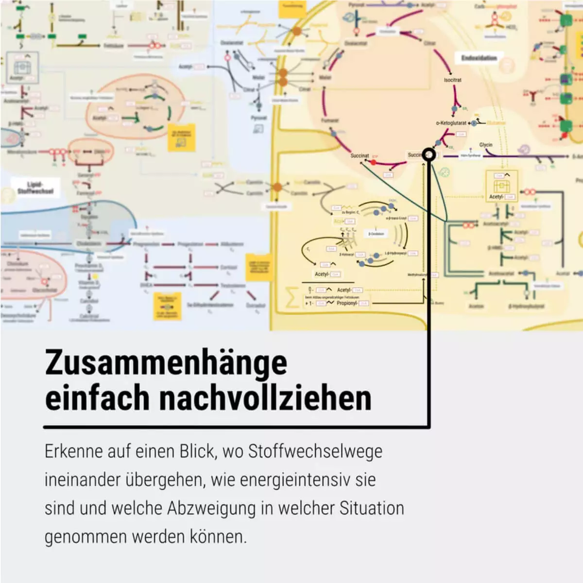 CORETEXT. Das Keine-Panik-Plakat