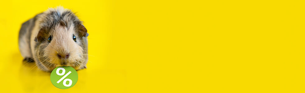 Kategoriebanner Staffelpreise Mehrscheinweichen 980x300 Kategoriebanner Staffelpreise Mehrscheinweichen 980x300