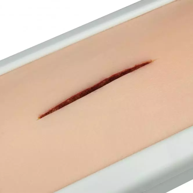 HeineScientific Hautnaht-Trainer als Pad