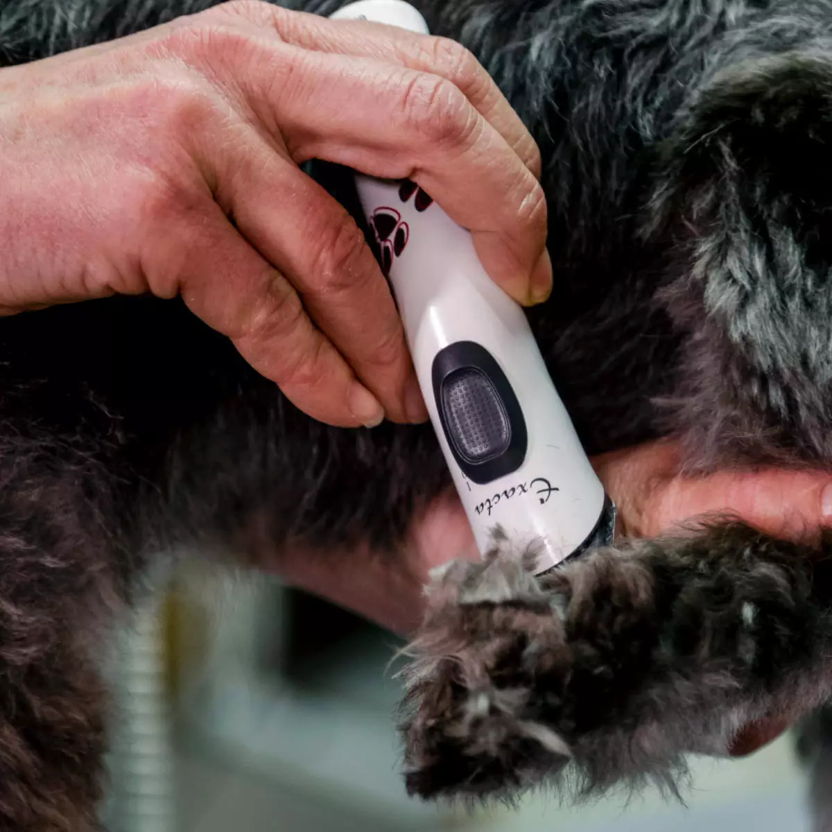 Aesculap Schermaschinen Exacta GT416 Schermaschine für Tiere